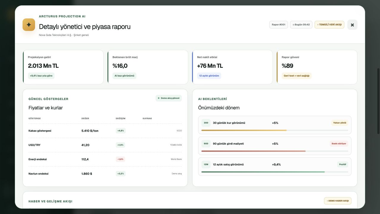 Projection AI detaylı yönetici raporu: projeksiyon geliri, brüt marj, nakit etkisi, güncel göstergeler ve ileriye dönük beklentiler içeren temsilî demo ekranı
